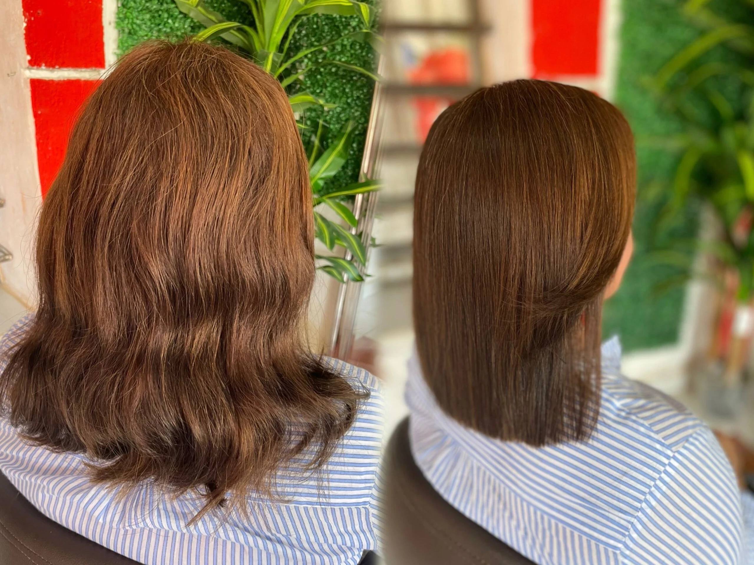 Corte o despunte dama