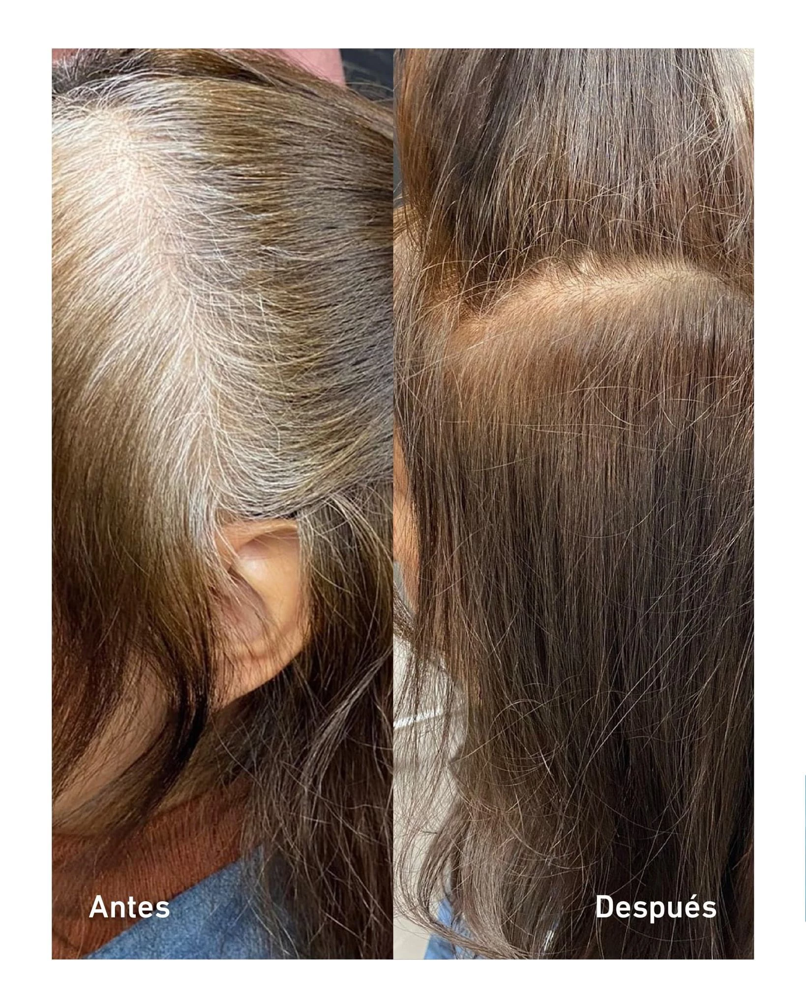Cubrimiento de canas 