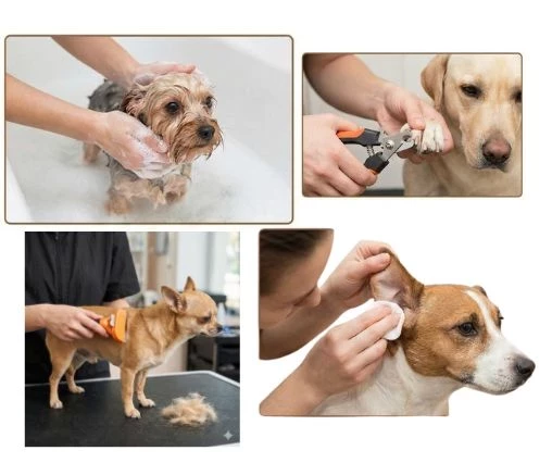 Baño + Deslanado + Oídos y Uñas (Pequeño)