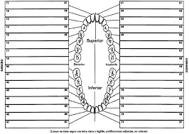 Carta dental