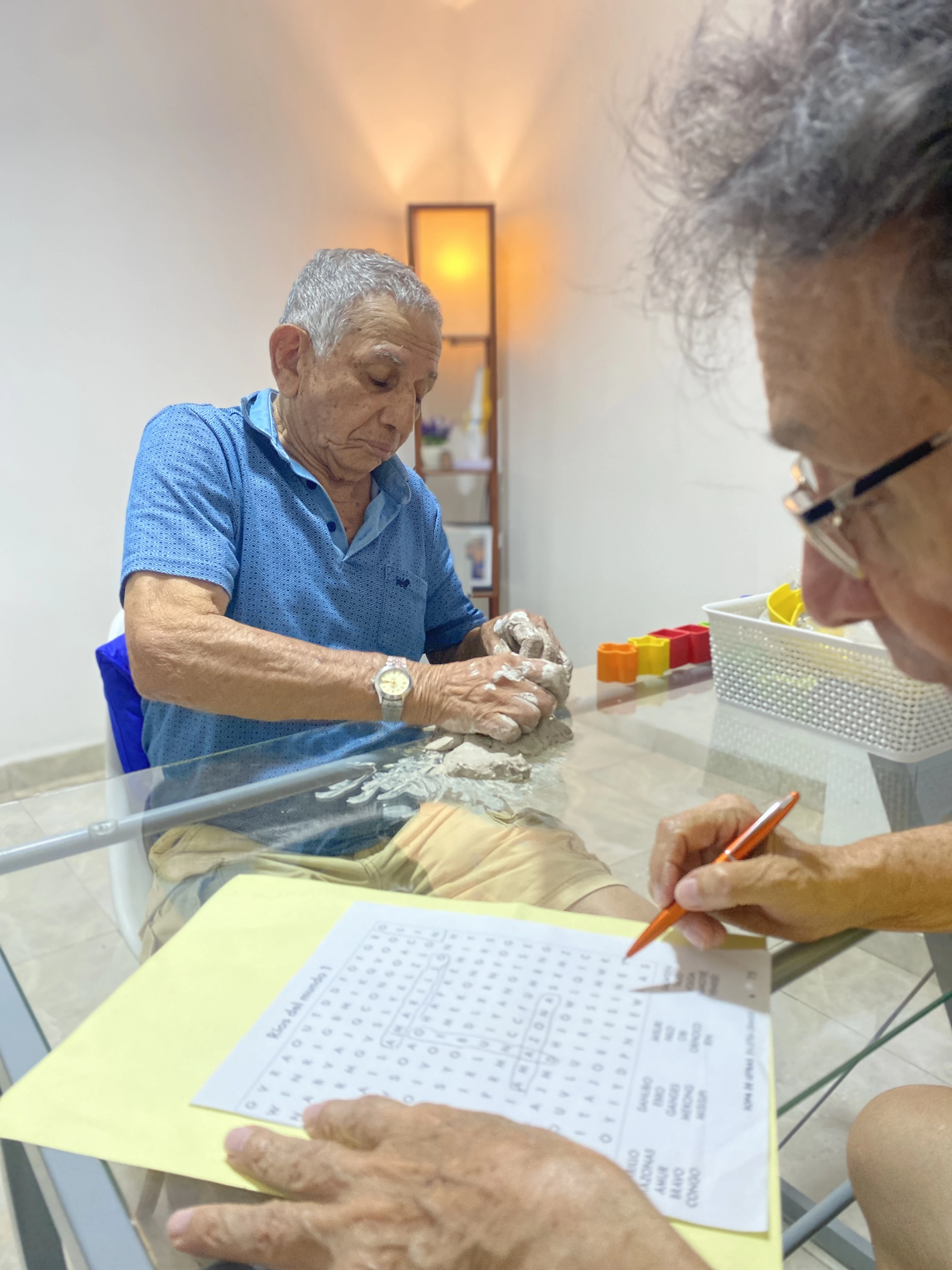 Terapia integral del adulto mayor