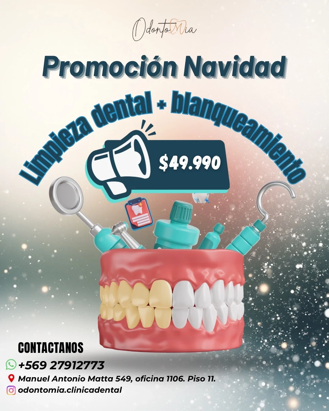 Promoción Navidad Blanqueamiento y limpieza