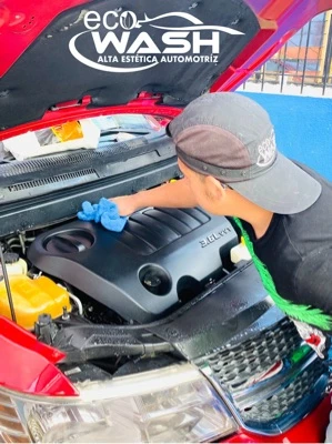 LAVADO DE MOTOR