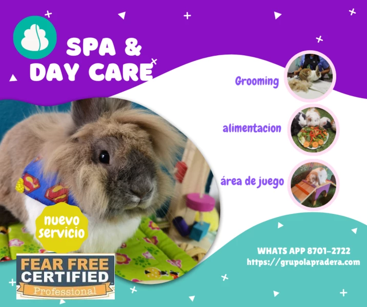 Servicio de Day Care (₡3000)