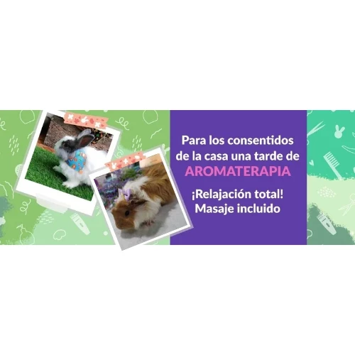       Servicio adicional de aromaterapia (₡2500)