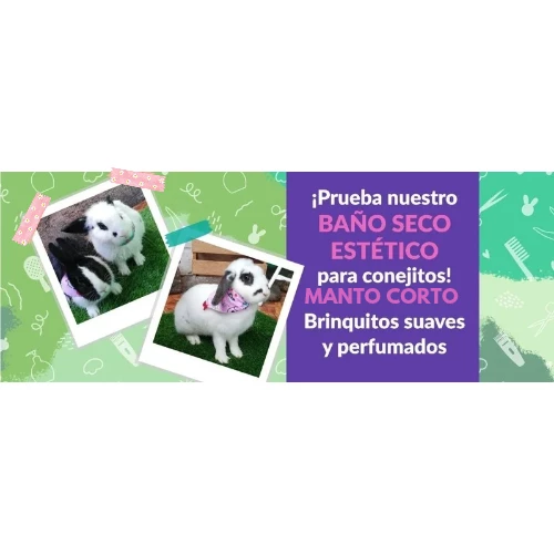 Spa conejo manto corto (₡6500)