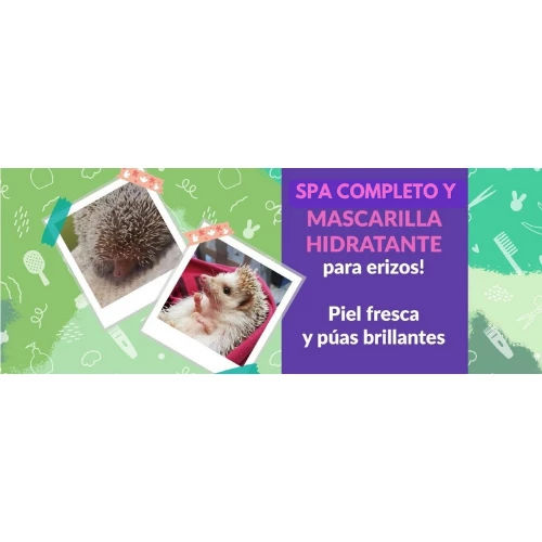 Spa para erizos (₡9000)