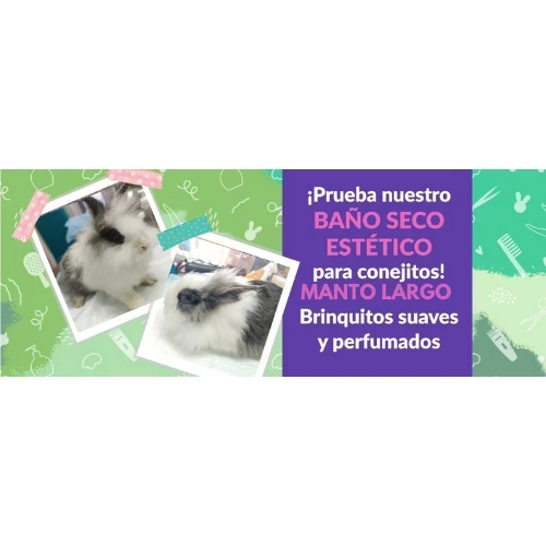 Spa conejo de  manto largo (₡12000)