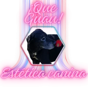¡Que Guau!
